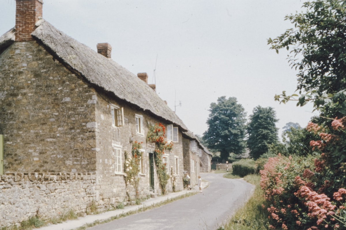 Thatched stone cottage with red flowers in a rural village
